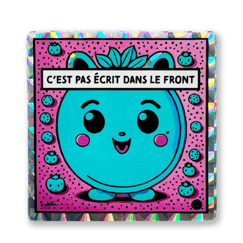 Bundle - C'est pas écrit dans le front - Adulte