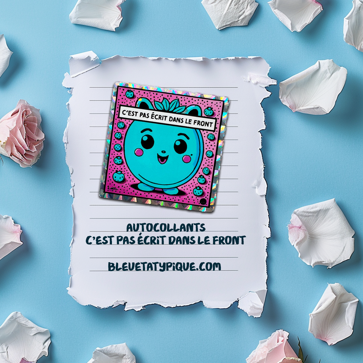 Lot d'autocollants - C'est pas écrit dans le front